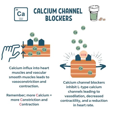 chanel blocker|problems with calcium channel blockers.